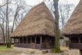 Gospodăria Sălciua; Sălciua de Jos, com. Sălciua, jud. Alba; Muzeul Naţional al Satului „Dimitrie Gusti” - Bucureşti